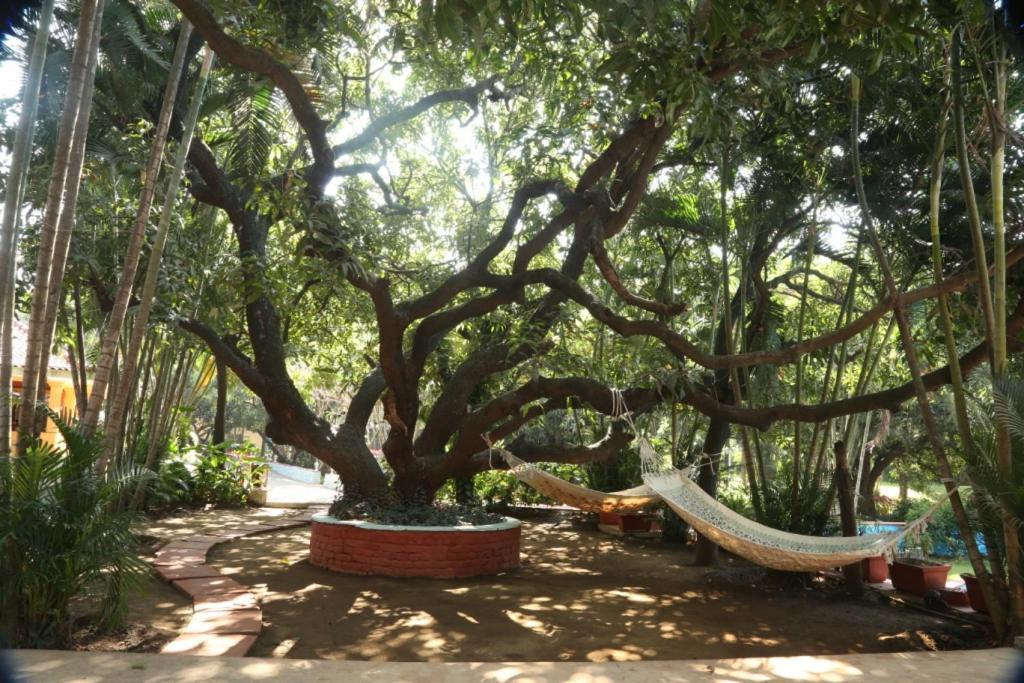 Hotel Outpost@Alibaug Alībāg Zewnętrze zdjęcie